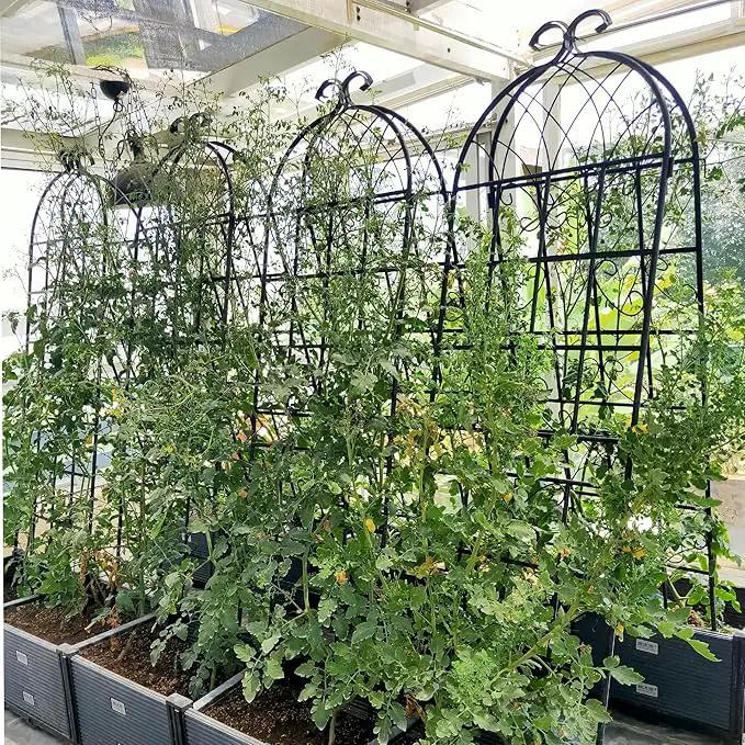 8 Pack Metal Garden Trellis 71" H Garden Fence Rustproof Trellis for Climbing Plants Support Roses Flower Outdoor Lawn Black by GreenHaven Gardens