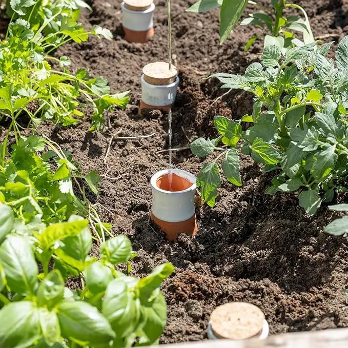 Plant Self Watering Globes - Terracotta Watering Spikes - Slow Release Olla Watering Pots - Drip Irrigiation Olla System by GreenHaven Gardens