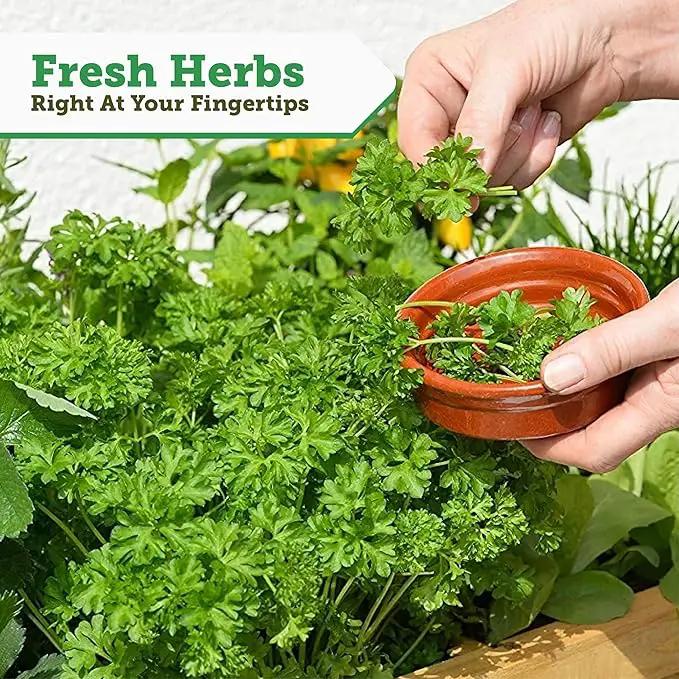VegTrug 8 Pocket Herb Garden by GreenHaven Gardens