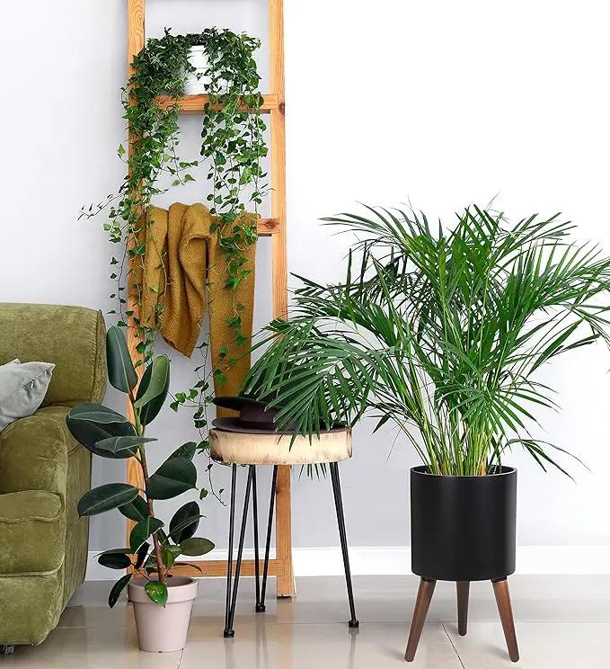 D'vine Dev 10 Inch Planter Pot with Stand, Mid-Century Tall Plant Pot with Legs for Indoor Plants, Medium, Black, 88-O-B-2 by GreenHaven Gardens