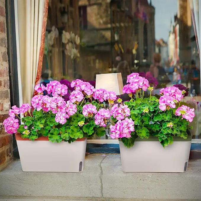 Amazing Creation Window Herb Planter Box, Vibrant Window Herb Garden, Self-Watering Rectangular Planter for Kitchen, Plants, and Succulents - Set of 3 by GreenHaven Gardens