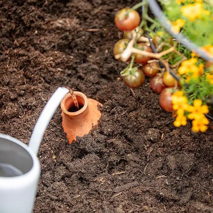 Back to the Roots Self-Watering Terracotta Olla Pot, 700mL Provides 1 Week of Precision Watering by GreenHaven Gardens