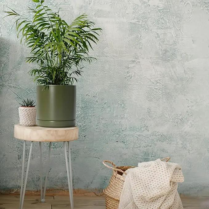 D'vine Dev 8 Inch Ceramic Planter Pot with Drainage Hole and Saucer, Indoor Cylinder Round Planter Pot, Olive, 94-O-D-J by GreenHaven Gardens