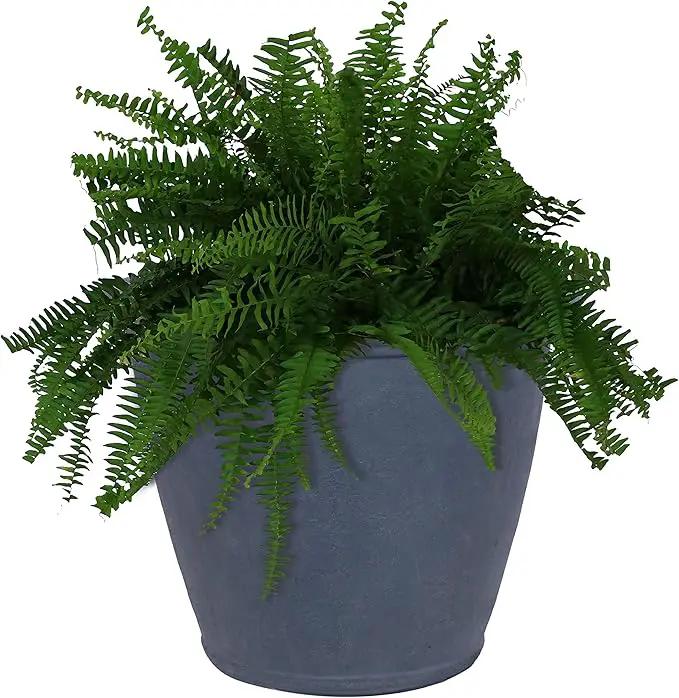 Sunnydaze 24-Inch Anjelica Large Plastic Pot for Plants - Outdoor Polyresin Round Planter with Drillable Drainage Holes - Slate by GreenHaven Gardens