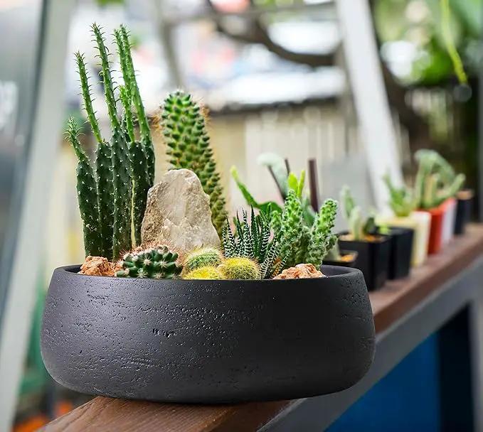 Olly & Rose Copenhagen Large Ceramic Planter Bowl Shallow Plant Pot - Matt Black Flower Pot Indoor and Outdoor Garden Décor… by GreenHaven Gardens