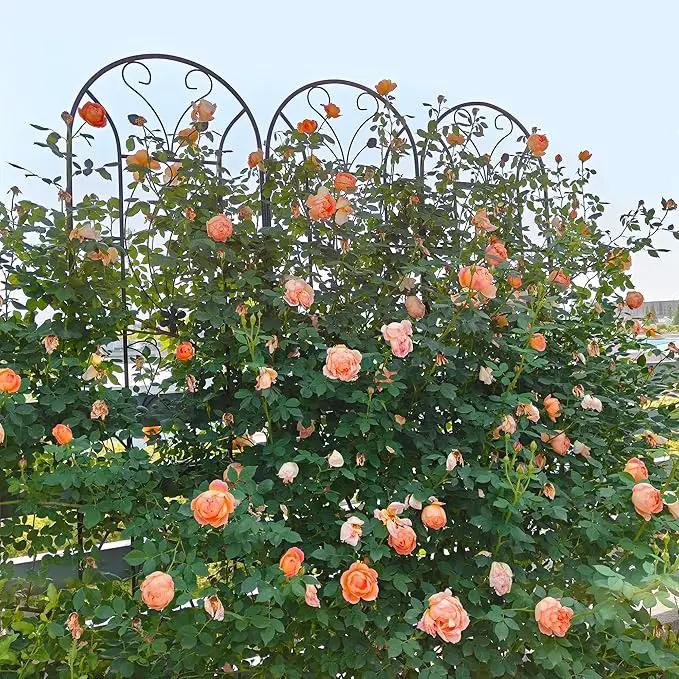 Metal Garden Trellis Rustproof Trellis for Climbing Plants Outdoor Flower Support Peacock Style (Black-4 Pack, 86.7"x19.7") by GreenHaven Gardens