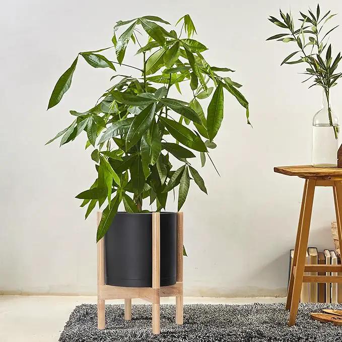 D'vine Dev Planter Pot with Stand - 10 Inch Plastic Cylinder Flower Pot with Wood Planter Holder for Indoor, Matte Black Pot + Natural Stand, 55-C-M-2 by GreenHaven Gardens