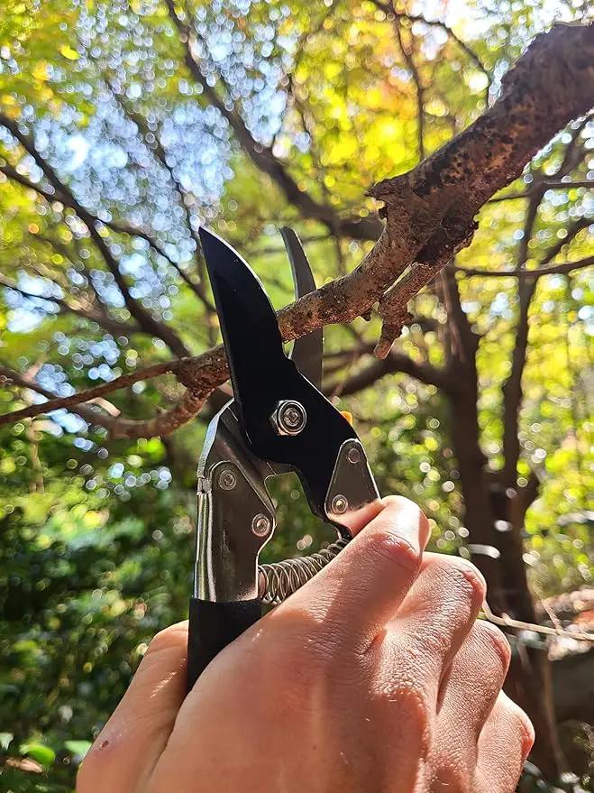 Saboten 7.9" Japanese Pruning Shears - forest Originals, Premium Steel Blades, Made in Japan, Rust Resistant, Gardening Scissors with Duracon Safety Lock by GreenHaven Gardens