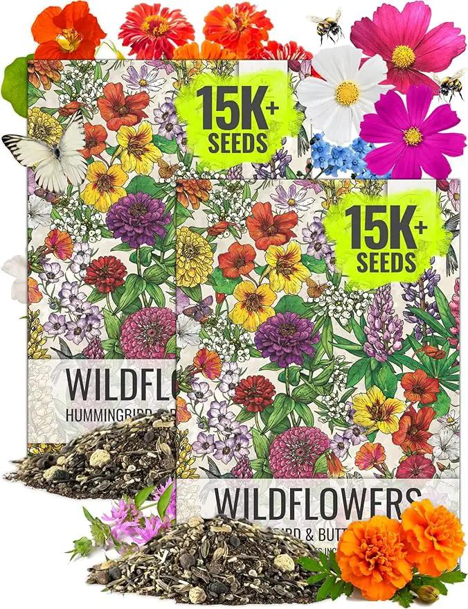 Seed Needs Wildflower Seeds Hummingbird and Butterfly Seed Mix | 2 Packs (1 Ounce Each) No Filler 23 Varieties Garden Seeds Annual & Perennial Species | Pollinator Attracting Flower Seed | Bulk by GreenHaven Gardens