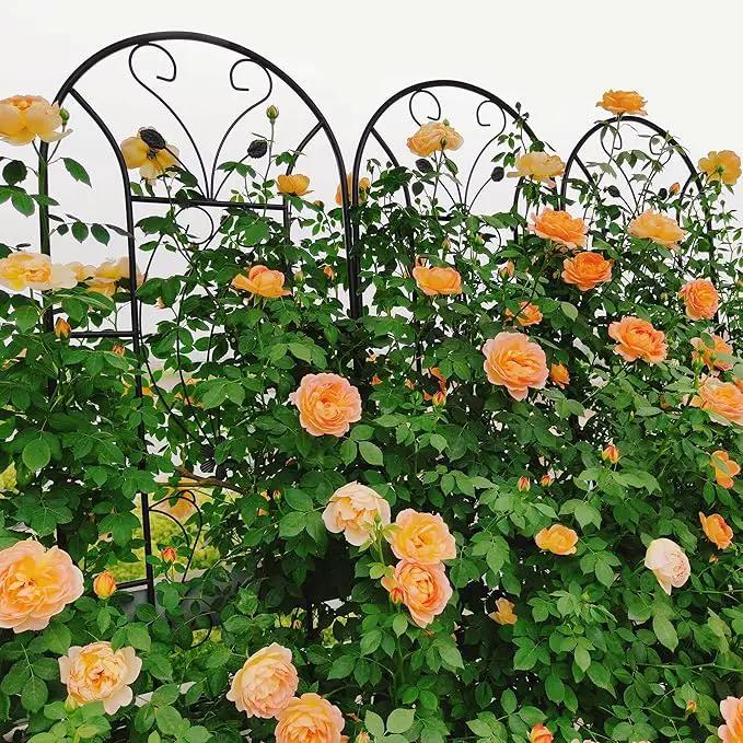 Metal Garden Trellis Rustproof Trellis for Climbing Plants Outdoor Flower Support Peacock Style (Black-4 Pack, 86.7"x19.7") by GreenHaven Gardens