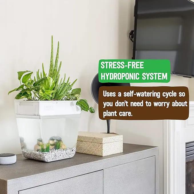Back to the Roots Indoor Hydroponic Garden - 3 Gallon Self Watering, Mess-Free Planter for Herbs, Microgreens, Bamboo, Succulents, and Houseplants, Green by GreenHaven Gardens