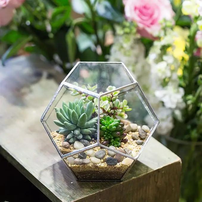 NCYP Small Silver Glass Geometric Terrarium for Succulents Air Plants, 6.89 x 6.89 x 5.9 Inches, Indoor Home Garden Planter Pot, Tabletop Decor Centerpiece, Handmade (Only Terrarium) by GreenHaven Gardens