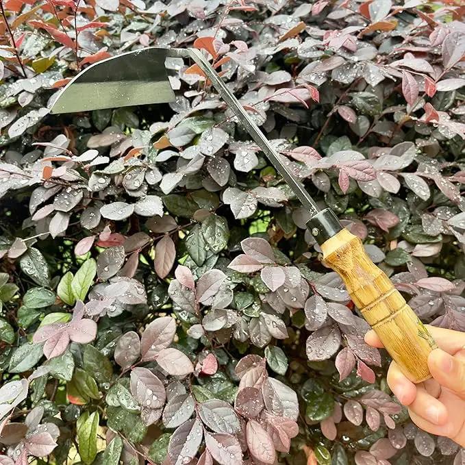 12 Inch Japanese Gardening Hand Weeding Sickle, Weeding Hoe with Long Wooden Handle by GreenHaven Gardens