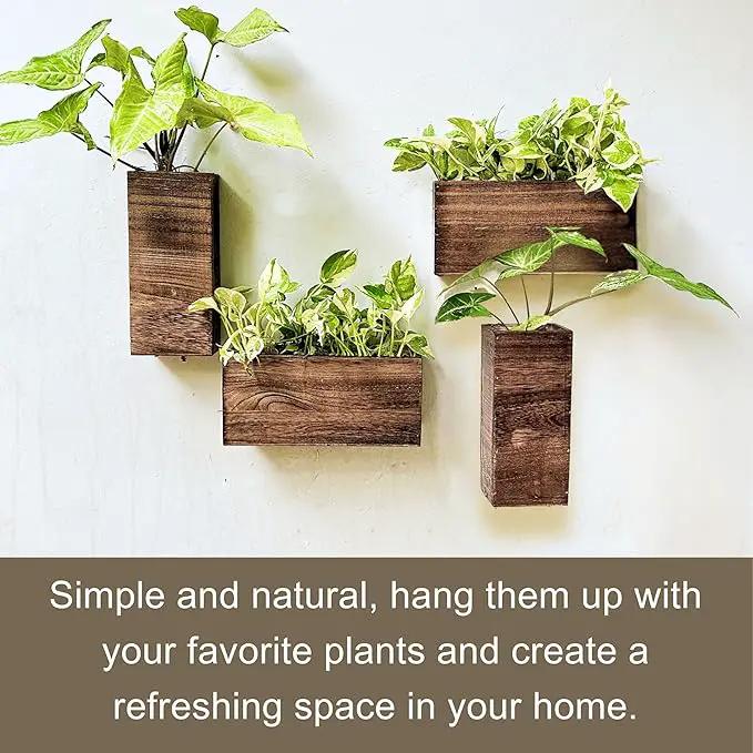 LaLaGreen Wood Planter Box for Plants (4 Pack) Wooden Hanging Wall Planters for Indoor Plant Holder Vase for Dried Flowers, Modern Living Room Bedroom Kitchen Home Office Decor by GreenHaven Gardens