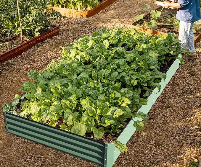 Domi Galvanized Raised Garden Bed, Outdoor Planter Garden Boxes Large Metal Planter Box for Gardening Vegetables Fruits Flowers, Green (8x4x1ft) by GreenHaven Gardens