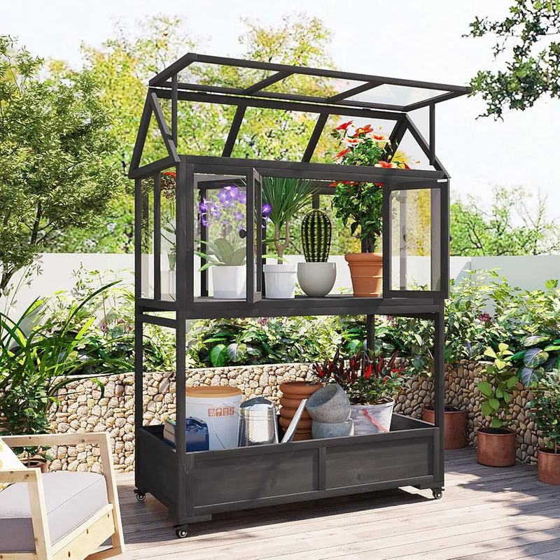 Greenhouse Cold Frames with Wheels - Adjustable Shelves Portable Cold Frame for Balcony/Patio, UV-Resistant Indoor Outdoor Plant Growing Cabinet (Large, Heavy-Duty) (Black) by GreenHaven Gardens
