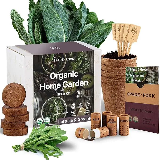 Organic Indoor Lettuce & Greens Garden Starter Kit - Certified USDA Organic Non GMO - Includes Spinach, Kale, Red Romaine, Loose Leaf Lettuce Seeds for Planting, Potting Soil, Peat Pots by GreenHaven Gardens