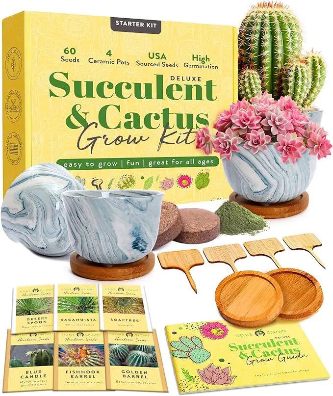 HOME GROWN Deluxe Succulent & Cactus Seed Grow Kit - Indoor Cactus & Succulent Kit w/Cactus Seeds, Potting Soil, Ceramic Succulent Pots, Water Drip Trays, Grow Guide for Plant Lovers by GreenHaven Gardens