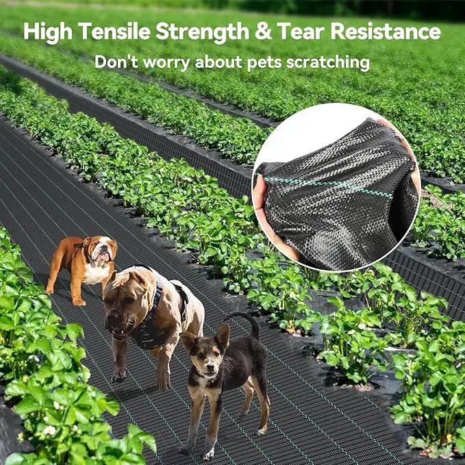 4ftx50ft Weed Barrier Landscape 3.2oz Fabric Heavy Duty, Woven Weed Control Cloth, Woven Geotextile Fabric for Underlayment, Gardening Ground, Commercial Driveway Weed Block Cover Mat by GreenHaven Gardens