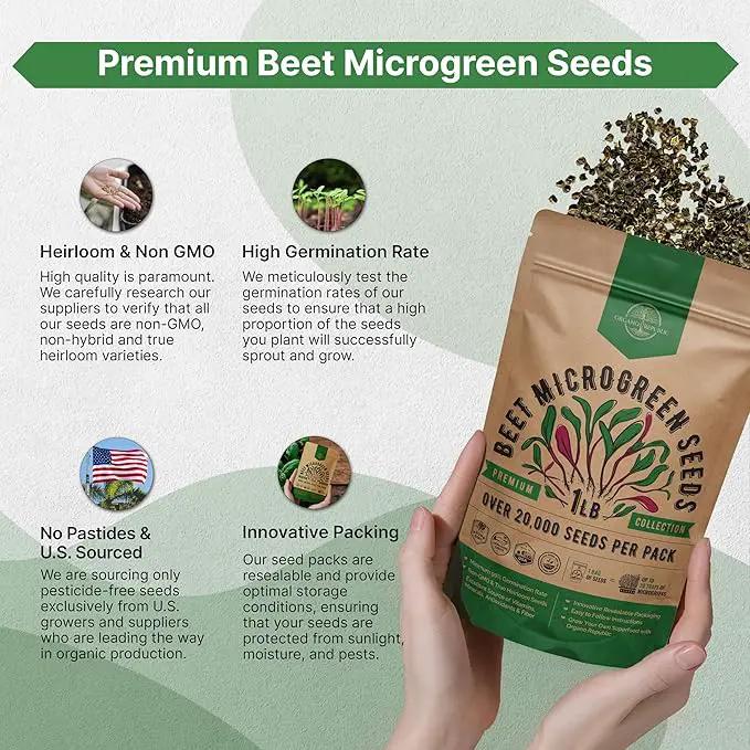 Organo Republic Beet Sprouting & Microgreens Seeds - 20,000 Non GMO Heirloom Seeds, Sprouts in Bulk 1lb Resealable Bag for Planting and Growing in Soil, Coconut Coir, Aeroponic & Hydroponic System by GreenHaven Gardens