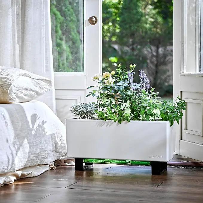 Glowpear Self-Watering Mini Bench Planter - 23.6" in Pot, Free Standing, UV Stable, Scalable, Indoor | Outdoor Pot with Water Gauge, for Home Kitchen Windowsill Gardening by GreenHaven Gardens
