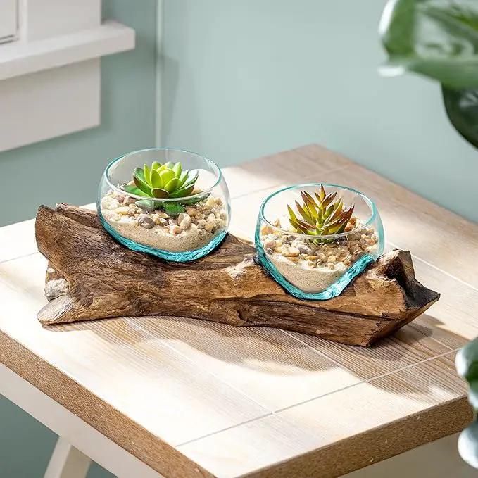 Cape Craftsmen Set of 2 Terrariums | Hand-Blown Blue Tinted Bubble Glass On Natural Teak Driftwood Terrarium | Home Décor Indoor Planter with Stand | Pot for Succulent and Plants by GreenHaven Gardens