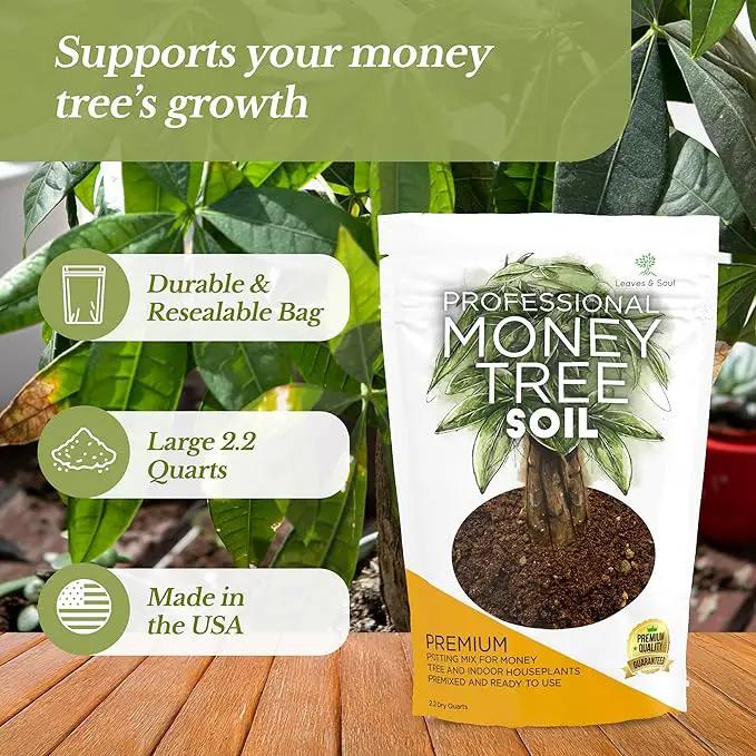 Professional Money Tree Soil | Large 2.2 Quarts Ready to Use for Money Tree Plants | Peat Moss, Coco Coir, Perlite, Dolomite | Made in USA by GreenHaven Gardens