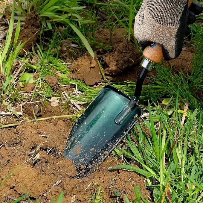 Garden Helper Large Garden Trowel Hand Tool, Hand Shovel for Planting and Transplanting, Heavy Duty Japanese Steel Blade, Wood Handle, Made in Japan by GreenHaven Gardens