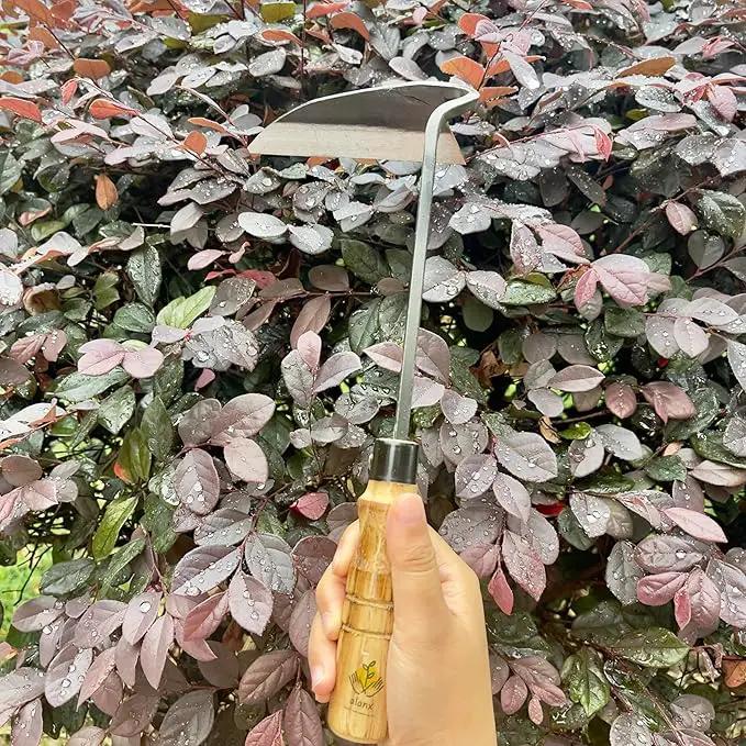12 Inch Japanese Gardening Hand Weeding Sickle, Weeding Hoe with Long Wooden Handle by GreenHaven Gardens