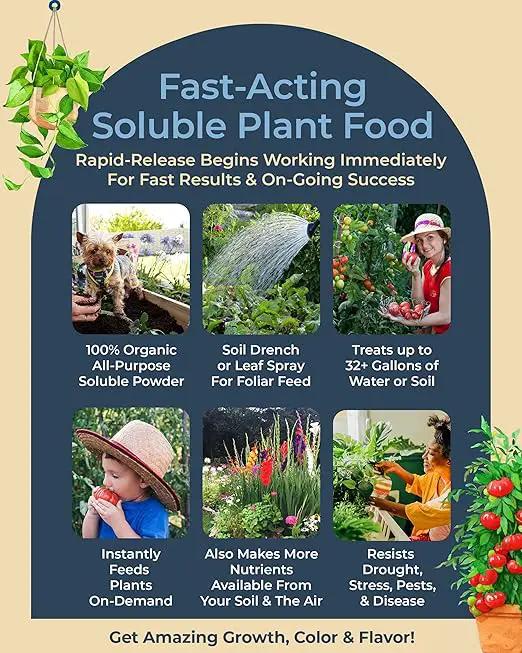 Organic Plant Magic - Truly Organic™ Fast-Acting Water Soluble Plant Food - All-Purpose Fertilizer Concentrate for Flower, Vegetable, Herb, Fruit Tree, Garden & Indoor Houseplants [One 1/2 lb Bag] by GreenHaven Gardens