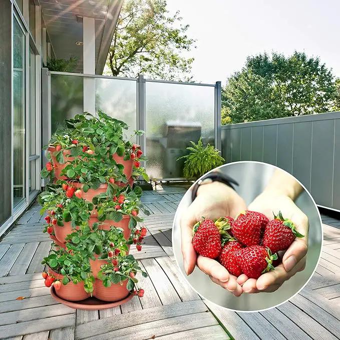Amazing Creation Stackable Planter, Terracotta 5-Tier Vertical Garden Planter, Grow Your Own Vertical Oasis of Vegetables and Succulents by GreenHaven Gardens