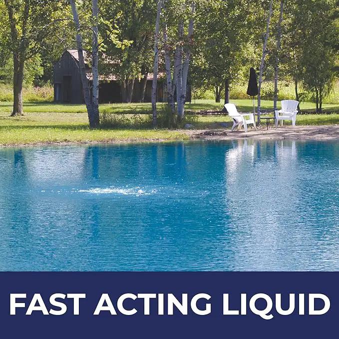 Ultimate Pond Bacteria, Outdoor Pond & Lake Natural Beneficial Bacteria Treatment, Aquatic Odor Reducer & Sludge Digester, Fish, Plant, & Livestock Safe, Easy Dosing Liquid, 1 Gallon Bottle by GreenHaven Gardens