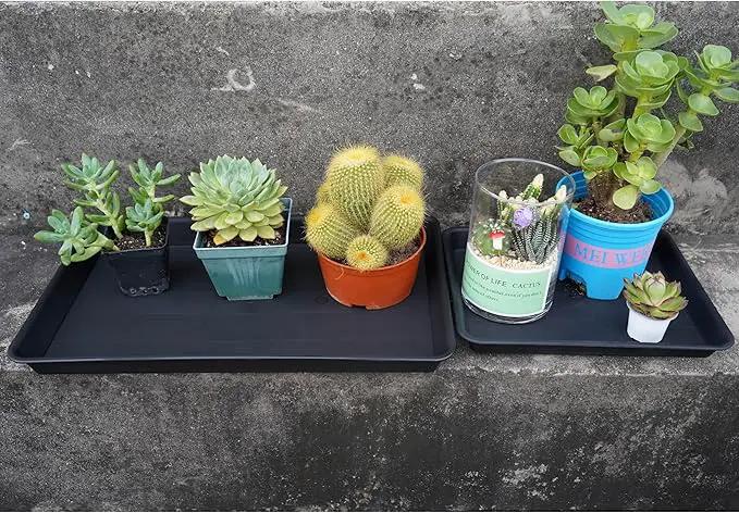2 Pack Plant Growing Nursery 1020 Trays, Plant Saucer Tray, Heavy Sturdy Seed Starting Trays, Plant Saucer for Indoors No Holes, Seed Starter Growing Tray (22"x11.2", Black) by GreenHaven Gardens