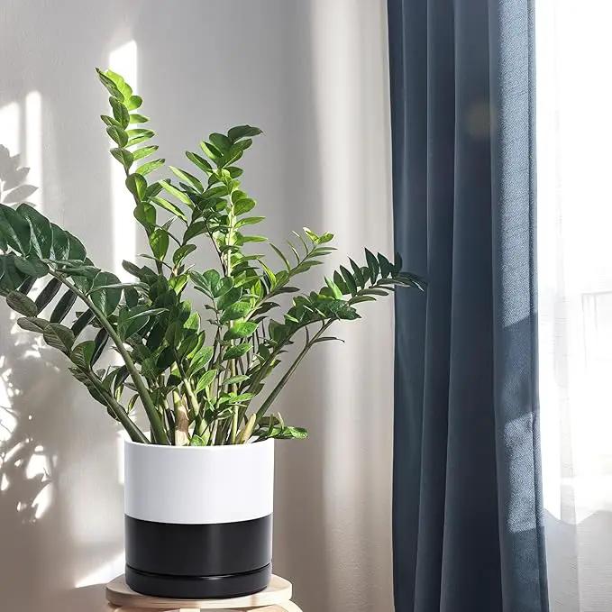D'vine Dev 8.2 Inch Ceramic Planter Pot with Drainage Hole and Saucer, Indoor Cylinder Round Planter Pot, Layered Monochrome Black & White, 94-O-D-L by GreenHaven Gardens