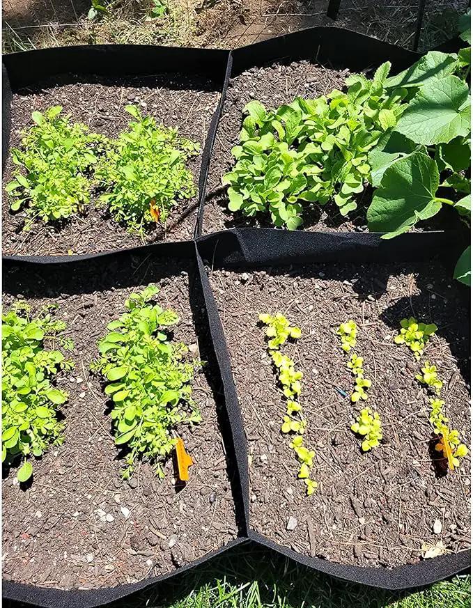 CJGQ Fabric Raised Garden Bed 6x3x1ft Garden Grow Bed Bags for Growing Herbs, Flowers and Vegetables 128 Gallon by GreenHaven Gardens