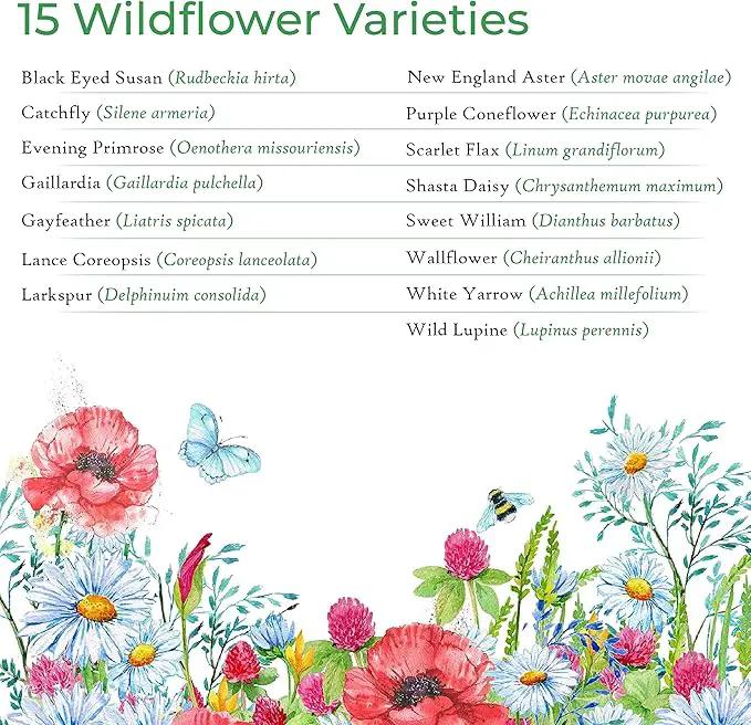 Created By Nature Maine Wildflower State Mix, 15 Flower Varieties, 50,000 Seeds by GreenHaven Gardens