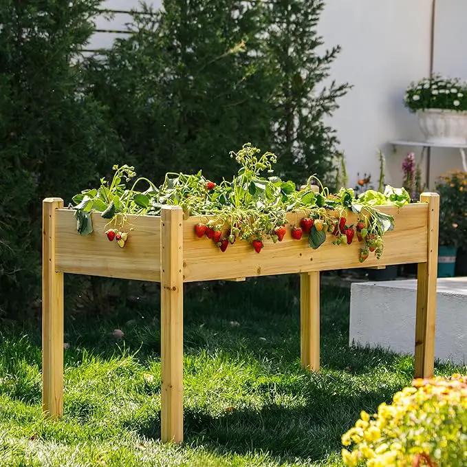 Premium Fir Wooden Raised Garden Bed with Four Legs for Backyard and Balcony Gardening,Suitable for Indoor and Outdoor use,49.5''×23.5''×30'' by GreenHaven Gardens