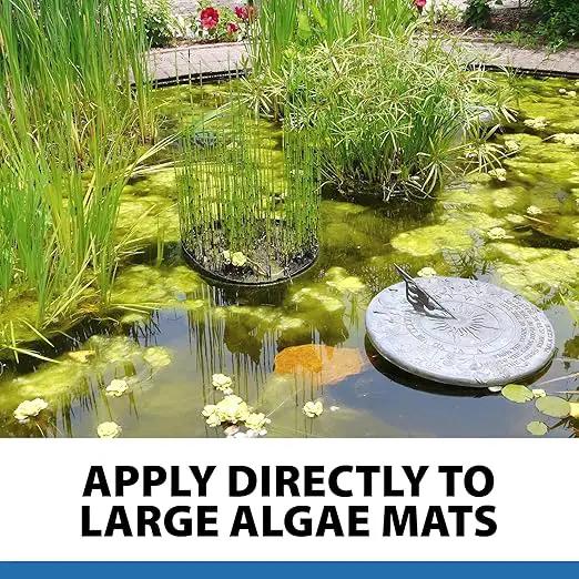 CrystalClear AlgaeOff Pond & Water Garden Scum Cleaner, Waterfall & Rock Slime Remover, String Algae Killer, Green Stain Treatment, EPA Registered Algaecide, Plant, Koi Fish, Bird & Pet Safe, 8 lbs by GreenHaven Gardens