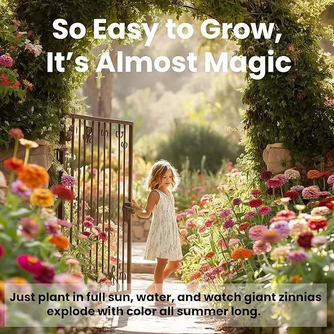 NatureZ Edge Zinnia Seeds for 2025 Planting Outdoors, Over 16,500 Flower Seeds, 1/4 lb, Non GMO Made in USA, Bulk Semillas De Flores para Sembrar, California Giants, Easy to Grow Zinnia Seed Mix by GreenHaven Gardens