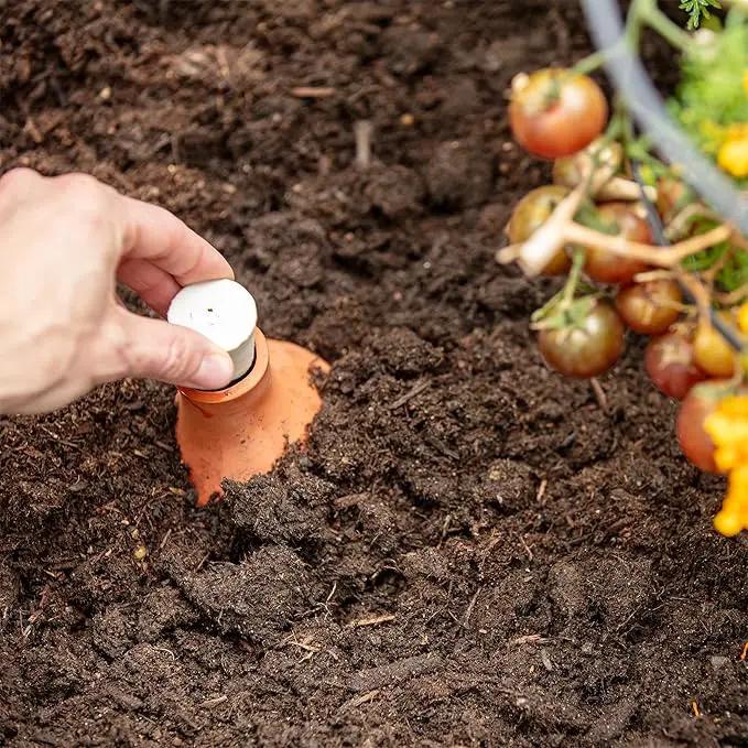 Back to the Roots Self-Watering Terracotta Olla Pot, 700mL Provides 1 Week of Precision Watering by GreenHaven Gardens