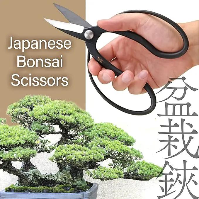 YAMASAN KYOTO UJI Japanese Suiryu Bonsai Scissors - Traditional Hasami Pruning Shears, Japanese Bonsai Garden Tools, Made in Japan (7.87inch) by GreenHaven Gardens