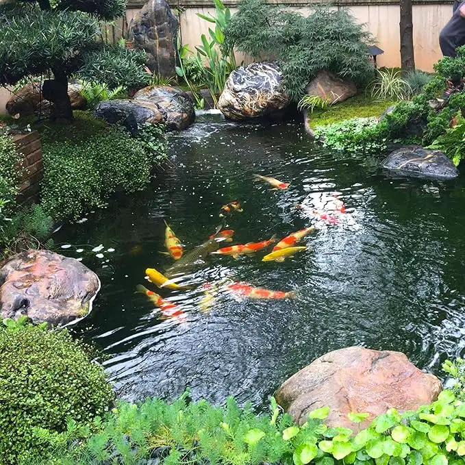 20 x 25 FT Pond Liner, 20 Mil Fish Pond HDPE Liner, Pond Liners for Outdoor Ponds, Koi Ponds, Garden Fountain, Waterfall by GreenHaven Gardens