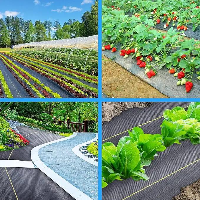 3ft x100ft Black Weed Barrier Landscape Premium Fabric-Heavy Duty Woven Ground Cloth with Superior Permeability Weed Control Convenient Design by GreenHaven Gardens