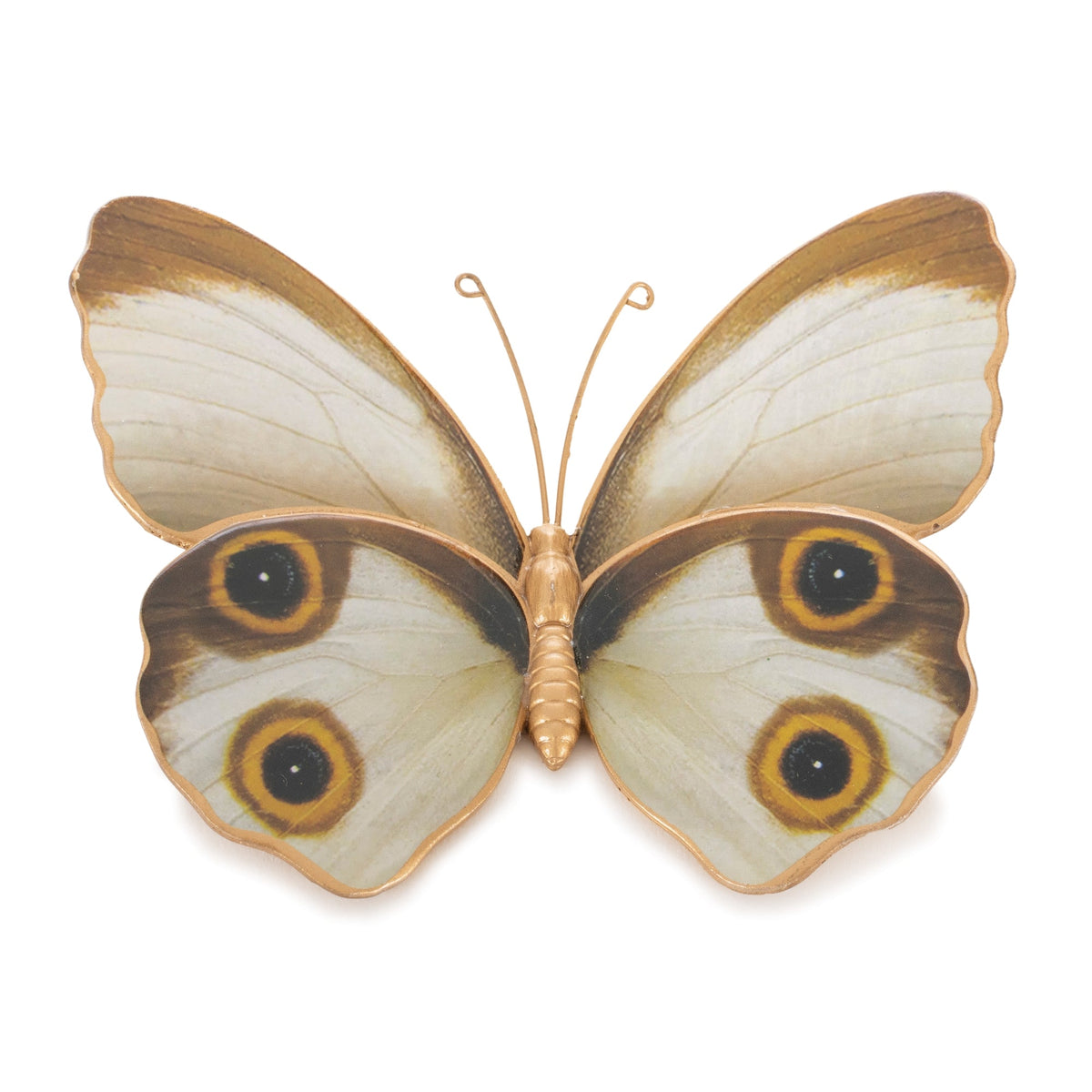 Amber Butterfly and Moth Shelf Sitter (Set of 2), photo 2 of 4