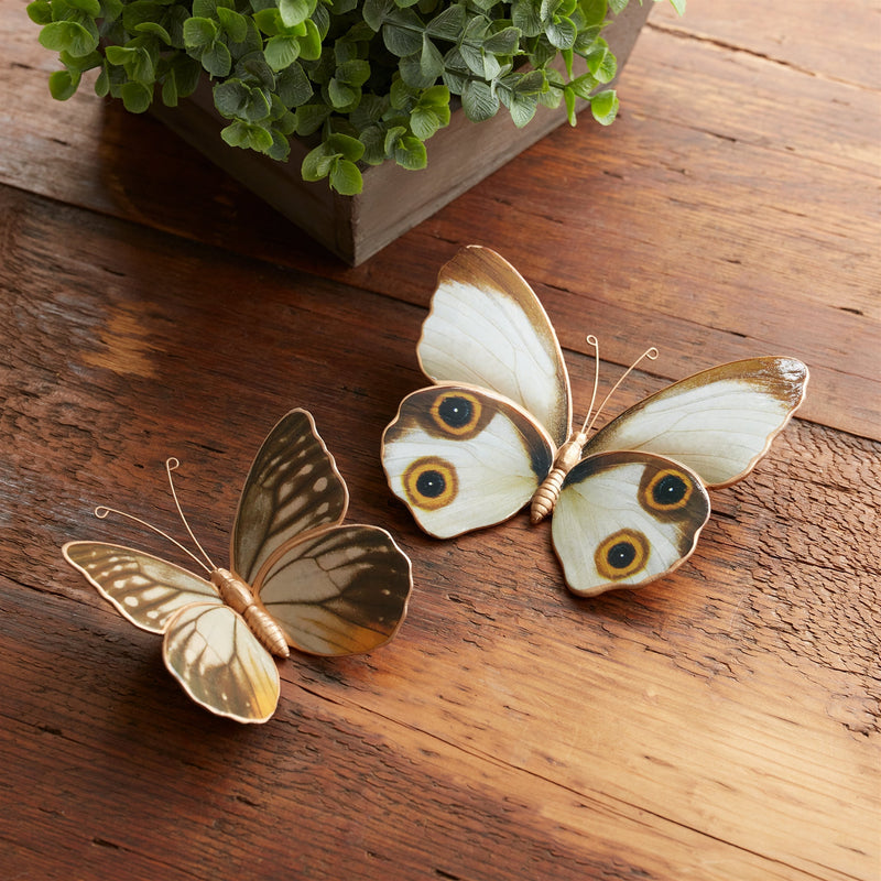 Amber Butterfly and Moth Shelf Sitter (Set of 2), photo 4 of 4