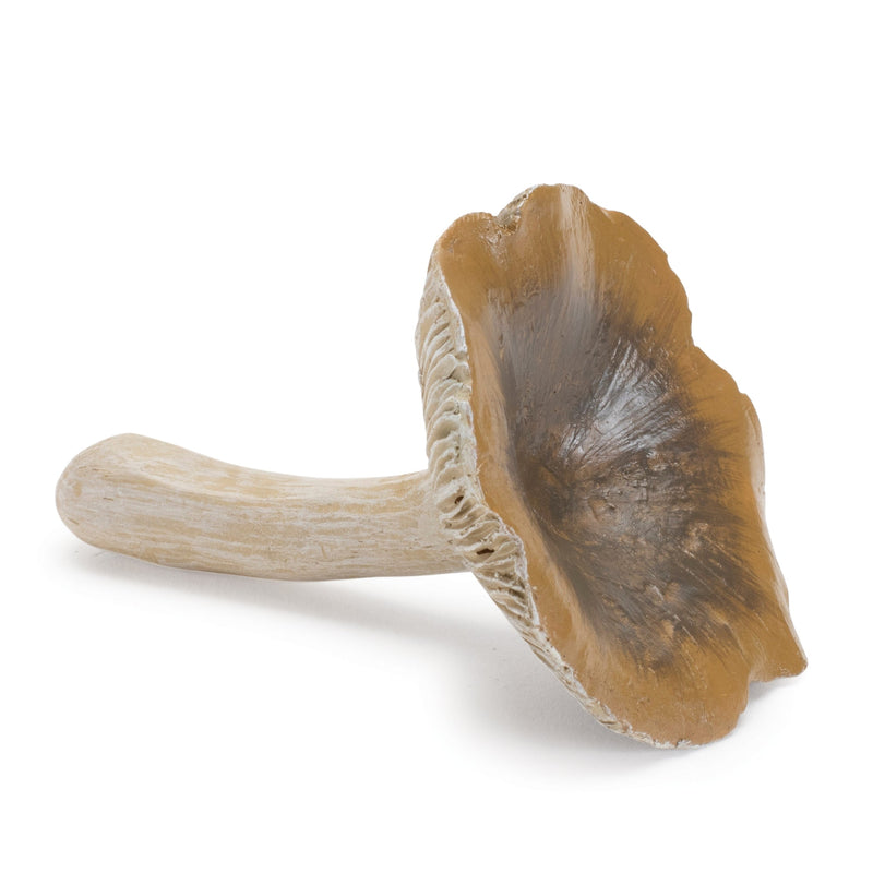 Stone Mushroom Shelf Sitter (Set of 12), photo 5 of 5