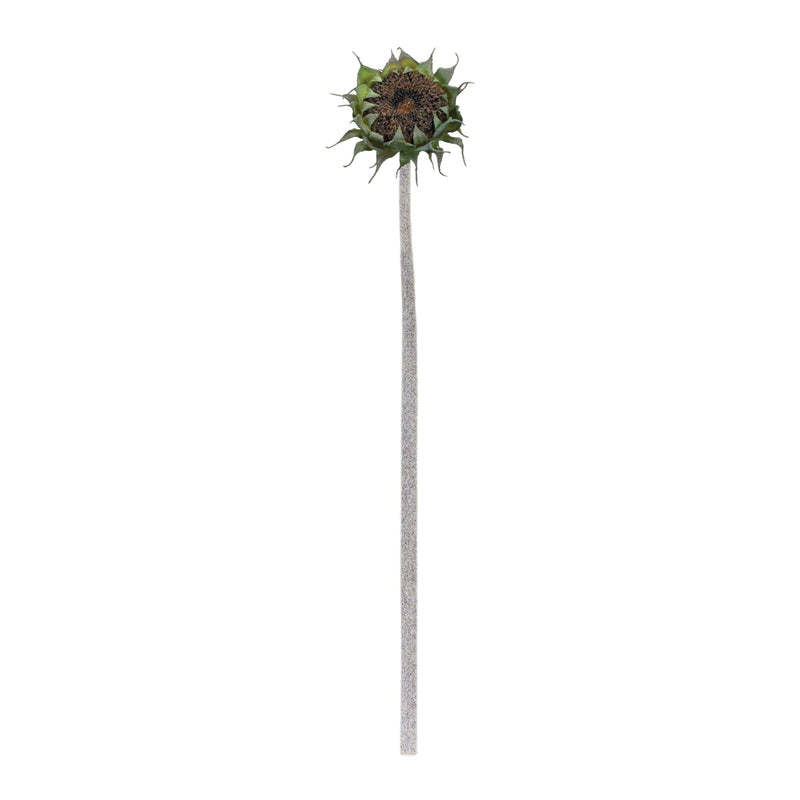 Brown Sunflower Stem (Set of 6), photo 2 of 2