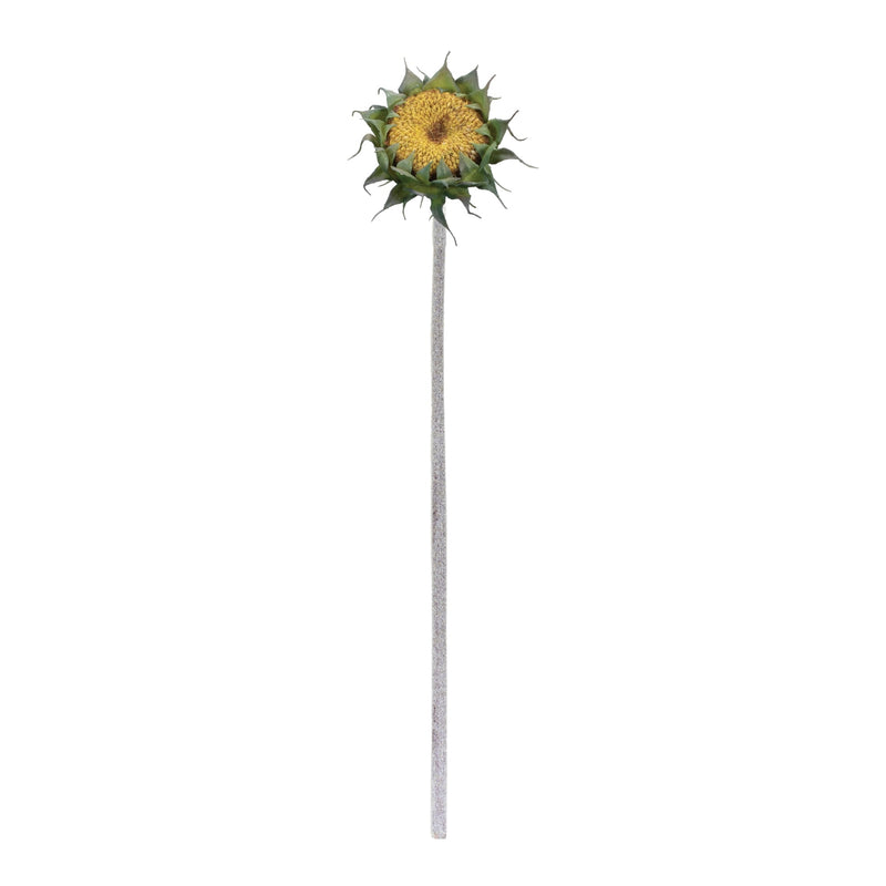 Yellow Sunflower Stem (Set of 6), photo 2 of 2