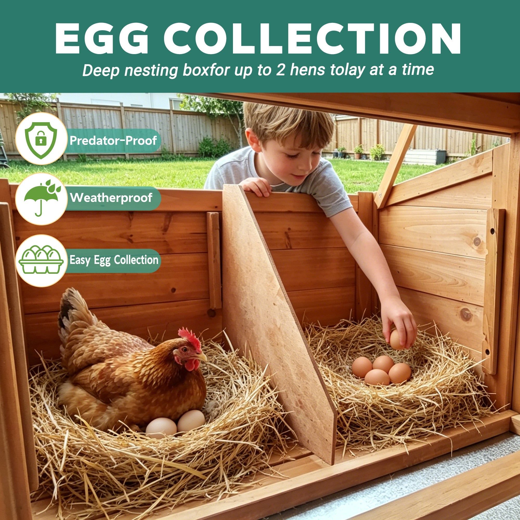 Large Chicken Coop with Nest Box and Run by HouseOfZazla