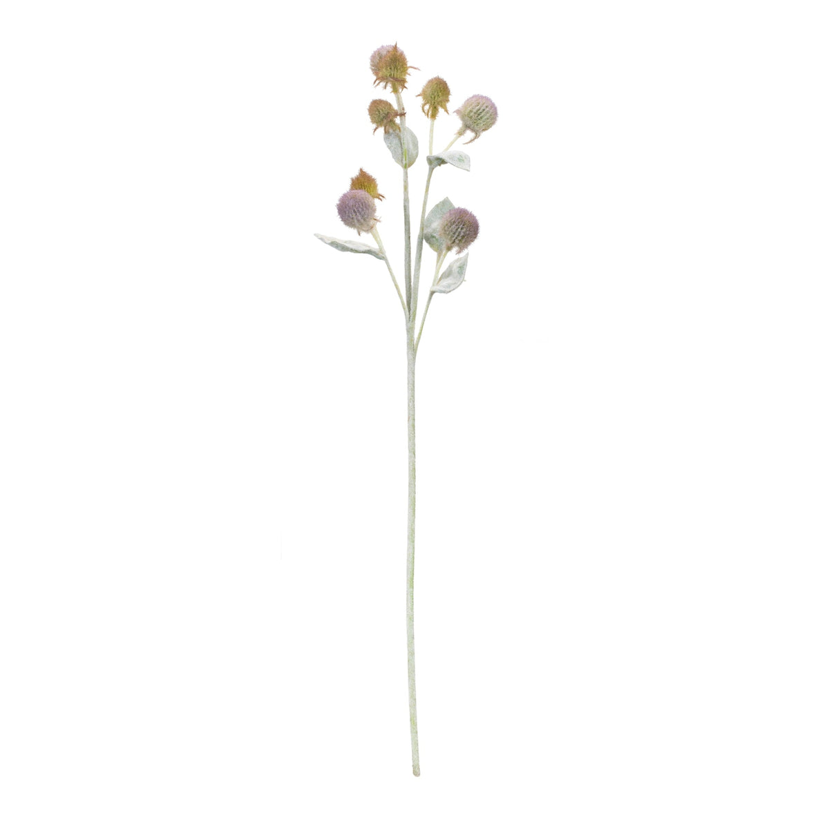 Thistle Foliage Spray (Set of 6), photo 2 of 2